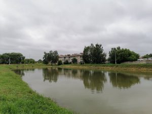 В пос.Электроизолятор завершены работы по очистке водоема в