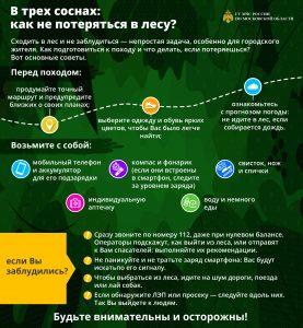 МЧС Московской области напоминает о правилах безопасного поведения в лесу