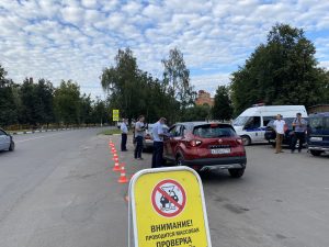 Профилактический рейд «Нетрезвый водитель» провели на территории Раменского района в минувшую пятницу