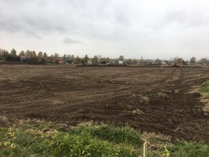В ТУ Новохаритновское  приступили к подготовительным работам по строительству нового стадиона в п. Электроизолятор