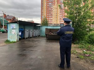 За осенний период посредством ЦУР в Раменском городском округе решено 984 вопросов жителей по содержанию территорий в чистоте и порядке