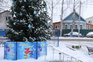 ТУ «Рыболовское» Раменского городского округа украшено к Новому году