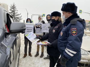 В День студента представители молодежных движений Подмосковья вышли на пешеходные переходы с подушками