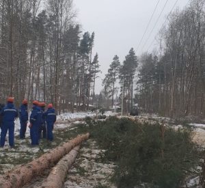 Раменский филиал АО «Мособлэнерго» расчистит просеку воздушной линии в Гжели