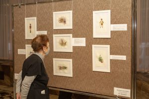 Презентация выставки рисунков «Портрет моей игрушки» состоялась в ДК «Победа»