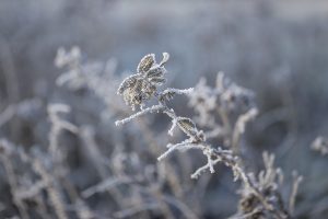 МЧС предупреждает об аномально холодной погоде