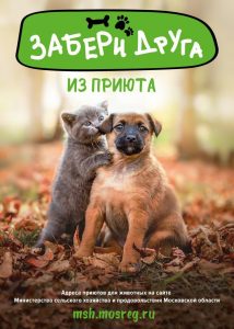 Уважаемые жители Раменского городского округа! Возьмите друга из приюта!