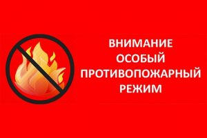 1 мая на территории Московской области начинает действовать особый противопожарный режим
