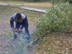Последствия непогоды в Раменском округе оперативно устраняются