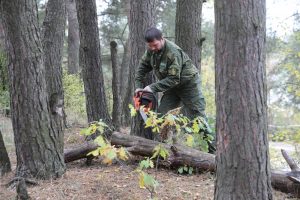 Прибрежную территорию оз.Гидра привели в порядок
