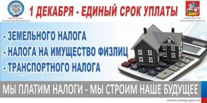 Оплати налоги до 1 декабря