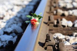 За прошедшую неделю в Раменском г.о. по системе-112 поступило 8 тысяч обращений