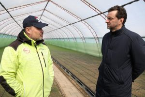 Тепличный комплекс в д.Панино посетил глава муниципалитета Виктор Неволин