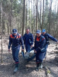 Сотрудники «Рамспаса» нашли заблудившегося в лесу мужчину