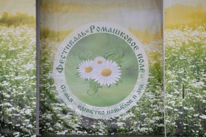 16 июля на территории Покровского храма села Карпово прошел фестиваль «Ромашковое поле»