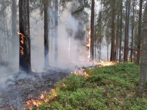Три человека пострадали в результате пожаров в Раменском округе на прошедшей неделе