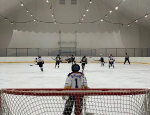 В рамках Первенства по хоккею среди коллективов физической культуры команды СШ «Раменское» провели выездные и домашние игры