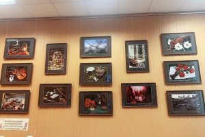 Выставка работ раменских фотографов открылась в библиотеке