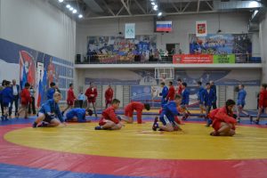 Раменские единороссы провели спортивный фестиваль к 85-летию самбо
