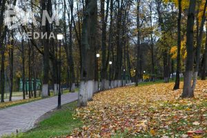 День рождения Деда Мороза отпразднуют в Раменском парке