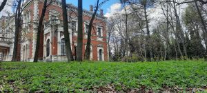 Продолжаются работы по консервации главного дома усадьбы Быково