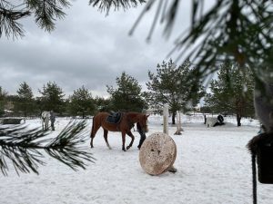 Конно-спортивный клуб в Пласкинино посетила съемочная группа РАМТВ