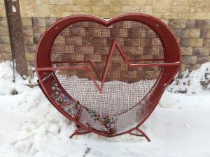 Сердце с «добрыми крышечками» в Раменском вылечат