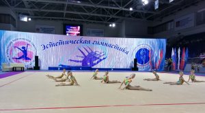 Соревнования по эстетической гимнастике пройдут в Раменском в выходные
