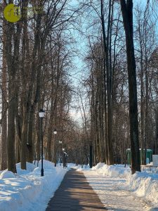 Развлекательную программу проведут сегодня в Раменском парке
