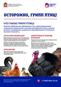 О Проведении месячника «Чайка» на территории Московской области