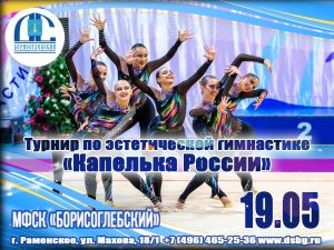 Соревнования по эстетической гимнастике пройдут в раменском СК «Борисоглебский»
