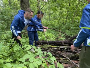 В Раменском городском округе единороссы запустили экологический проект «Чистый лес»