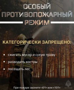 С  17 апреля на территории Московской области введен особый противопожарный режим 