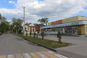 Высадка деревьев в рамках акции «Сад памяти»