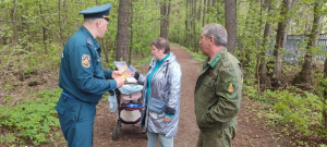 В Раменском округе провели рейд в лесных массивах