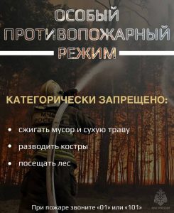 С  17 апреля на территории Московской области введен особый противопожарный режим