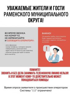 Статистика ЕДДС Раменского м.о. с 22 по 28 декабря