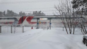 Безопасность на железной дороге: памятка о правилах перехода и запретах
