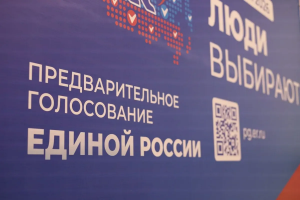 В предварительном голосовании «Единой России» зарегистрировались кандидаты из Раменского округа