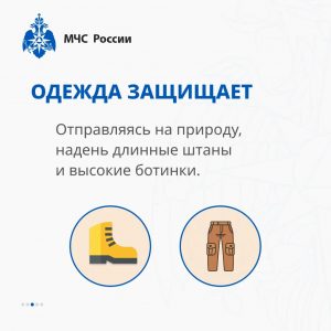 Жители Раменского округа, внимание! Начало половодья в Подмосковье привело к появлению змей