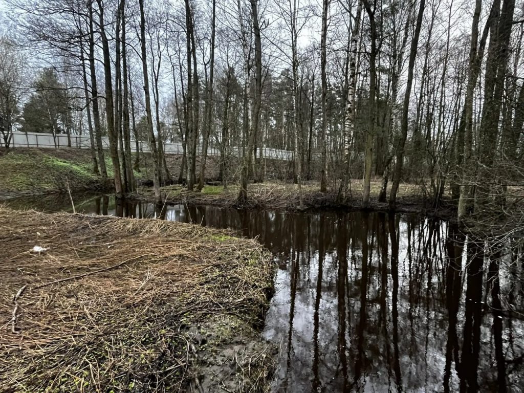 По состоянию на 27 апреля паводкоопасная обстановка на территории Раменского округа остается стабильной