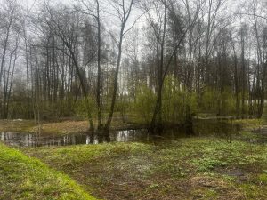 По состоянию на 4 мая паводкоопасная обстановка на территории Раменского округа остается стабильной