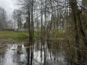 По состоянию на 18 мая паводкоопасная обстановка на территории Раменского округа остается стабильной