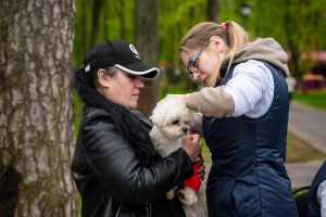 В Раменском прошло мероприятие по чипированию, регистрации и вакцинации домашних животных