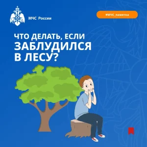 Жители Раменского округа, будьте внимательнее, находясь в лесу