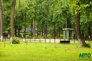 Проведите время ярко в Раменском парке