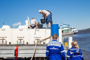 «Транснефть – Верхняя Волга» выпустила около 39 тысяч мальков стерляди в водные объекты пяти регионов в рамках летнего этапа зарыбления