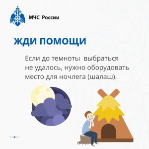 Жители Раменского округа, будьте внимательнее, находясь в лесу