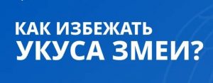 Информируем жителей Раменского округа о правилах безопасности при встрече со змеями