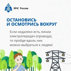 Жители Раменского округа, будьте внимательнее, находясь в лесу